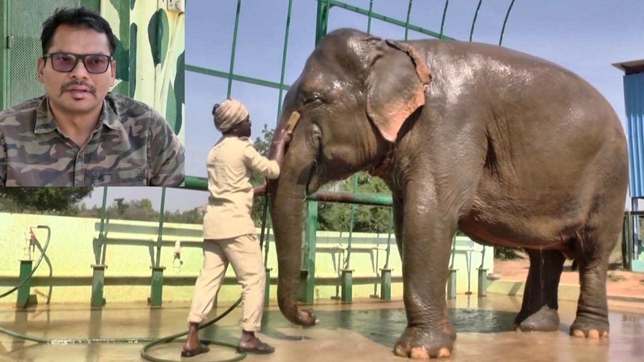 ಇಲ್ಲಿ ಕೃತಕವಾಗಿ ಒಂದು ಕೆರೆ ನಿರ್ಮಾಣ, ಬಿದುರು ಬೆಳೆಸುವುದು, ಹುಲ್ಲು ಬೆಳೆಸುವುದು ಸೇರಿ ಹಲವು ಇನ್ನಷ್ಟು ವ್ಯವಸ್ಥೆಗಳನ್ನು ಮಾಡಲಾಗುತ್ತಿದೆ ಎನ್ನುತ್ತಾರೆ ಜಿಲ್ಲಾ ಅರಣ್ಯ ಸಂರಕ್ಷಣಾಧಿಕಾರಿ ಏಡುಕೊಂಡಲ.