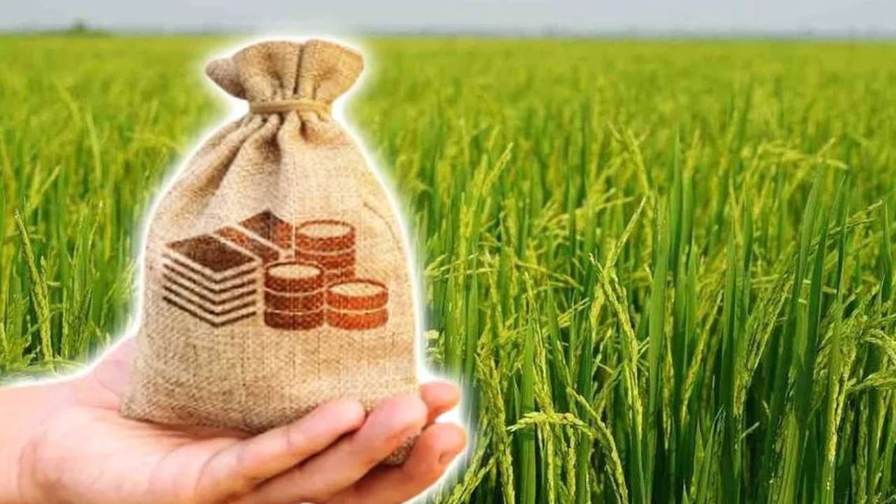 Know Loan write off and how it is Different from loan waiver in Kannada