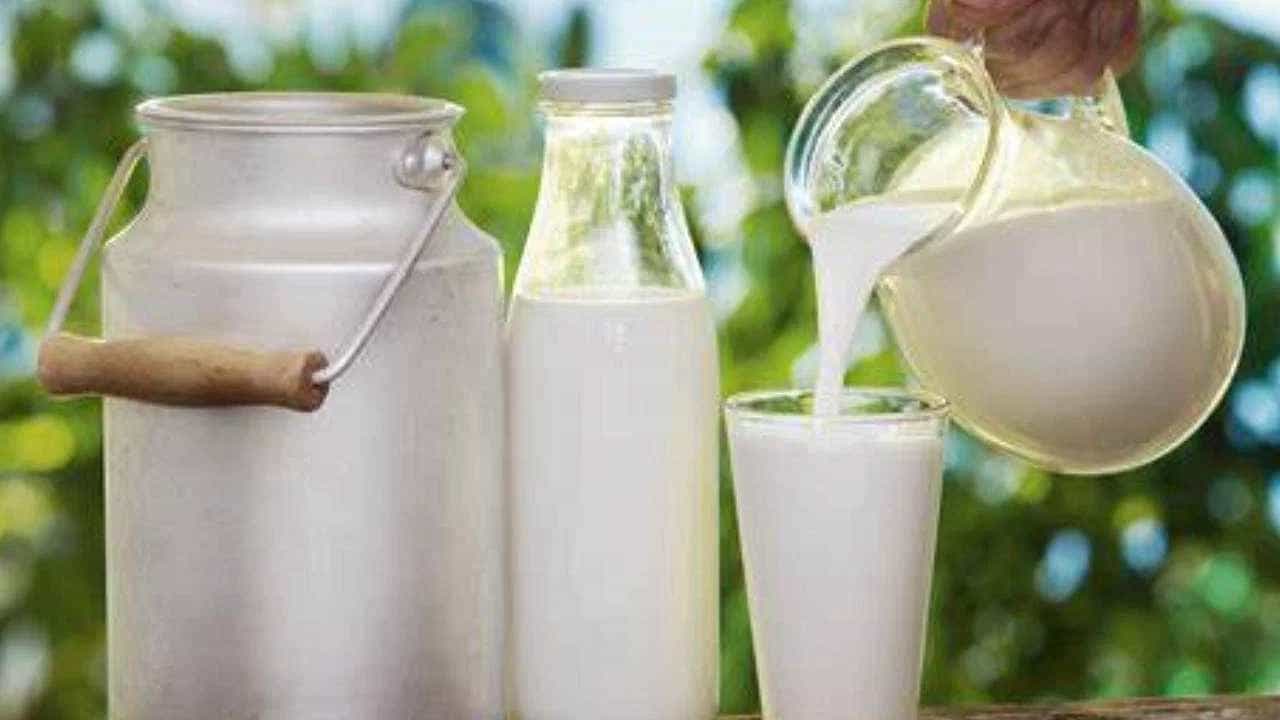Milk: ಈ ಸಮಯದಲ್ಲಿ ಹಾಲು ಕುಡಿದರೆ ಪ್ರಯೋಜನವಿಲ್ಲ, ಹಾಲು ಕುಡಿಯಲು ಸರಿಯಾದ ಸಮಯ ಯಾವುದು ತಿಳಿಯಿರಿ Milk: ಈ ಸಮಯದಲ್ಲಿ ಹಾಲು ಕುಡಿದರೆ ಪ್ರಯೋಜನವಿಲ್ಲ, ಹಾಲು ಕುಡಿಯಲು ಸರಿಯಾದ ಸಮಯ ಯಾವುದು ತಿಳಿಯಿರಿ