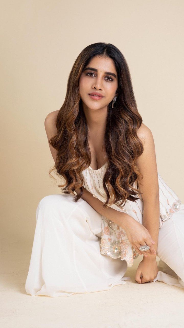 Nabha Natesh (6)