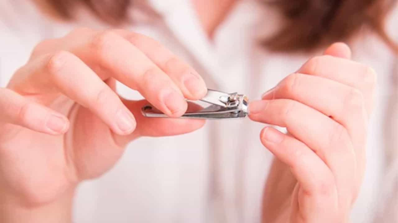 Nail Health: ಆರೋಗ್ಯಕರ ಉಗುರುಗಳಿಗಾಗಿ ಈ ಆಹಾರ ಸೇವಿಸಿ, ವೈದ್ಯರ ಸಲಹೆ ಇಲ್ಲಿದೆ Nail Health: ಆರೋಗ್ಯಕರ ಉಗುರುಗಳಿಗಾಗಿ ಈ ಆಹಾರ ಸೇವಿಸಿ, ವೈದ್ಯರ ಸಲಹೆ ಇಲ್ಲಿದೆ