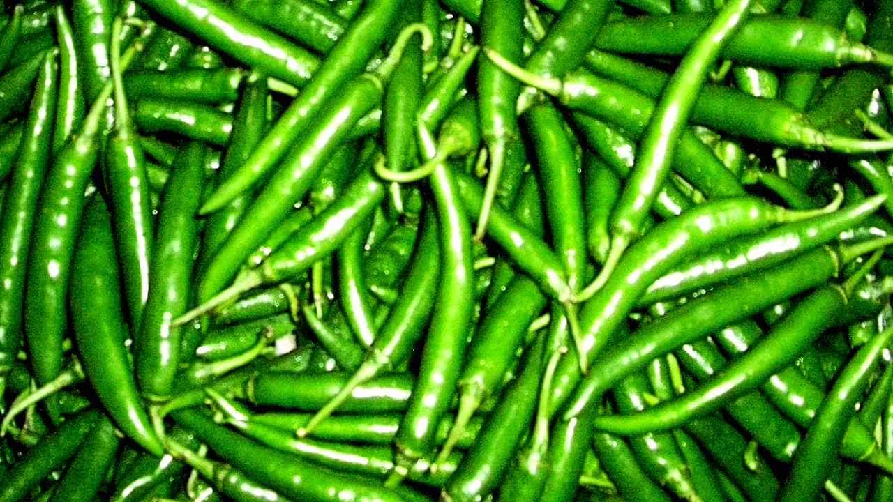 Green Chilli Benefits: ಹಸಿರು ಮೆಣಸಿನಿಂದ ಆರೋಗ್ಯಕ್ಕೆ ಅಪಾಯ ಮಾತ್ರವಲ್ಲ, ಪ್ರಯೋಜನಗಳೂ ಇವೆ ತಿಳಿಯಿರಿ Green Chilli Benefits: ಹಸಿರು ಮೆಣಸಿನಿಂದ ಆರೋಗ್ಯಕ್ಕೆ ಅಪಾಯ ಮಾತ್ರವಲ್ಲ, ಪ್ರಯೋಜನಗಳೂ ಇವೆ ತಿಳಿಯಿರಿ