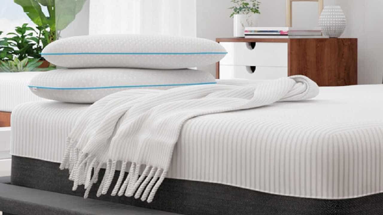 Mattress Cleaning: ಚಳಿಗಾಲದಲ್ಲಿ ನಿಮ್ಮ ಹಾಸಿಗೆಯನ್ನು ಸ್ವಚ್ಛಗೊಳಿಸಲು ಕೆಲವು ಉಪಯುಕ್ತ ಸಲಹೆಗಳು ಇಲ್ಲಿವೆ Mattress Cleaning: ಚಳಿಗಾಲದಲ್ಲಿ ನಿಮ್ಮ ಹಾಸಿಗೆಯನ್ನು ಸ್ವಚ್ಛಗೊಳಿಸಲು ಕೆಲವು ಉಪಯುಕ್ತ ಸಲಹೆಗಳು ಇಲ್ಲಿವೆ