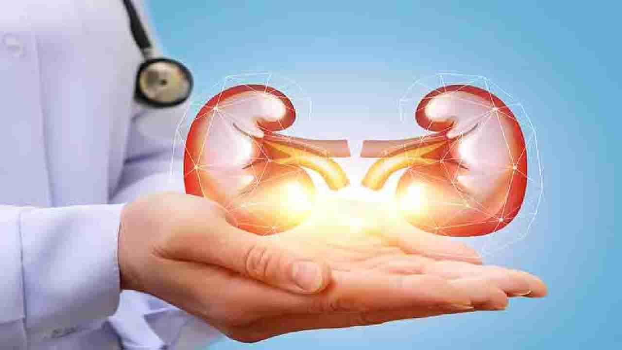 Kidney Health: ಕಿಡ್ನಿ ಸಮಸ್ಯೆ ಇರುವವರು ತಿನ್ನುವ ಆಹಾರದಲ್ಲಿ ಏನೇನಿರಬೇಕು, ಇಲ್ಲಿದೆ ಮಾಹಿತಿ