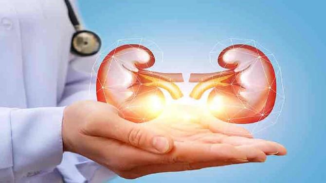 Kidney Health: ಕಿಡ್ನಿ ಸಮಸ್ಯೆ ಇರುವವರು ತಿನ್ನುವ ಆಹಾರದಲ್ಲಿ ಏನೇನಿರಬೇಕು, ಇಲ್ಲಿದೆ ಮಾಹಿತಿ Kidney Health: ಕಿಡ್ನಿ ಸಮಸ್ಯೆ ಇರುವವರು ತಿನ್ನುವ ಆಹಾರದಲ್ಲಿ ಏನೇನಿರಬೇಕು, ಇಲ್ಲಿದೆ ಮಾಹಿತಿ