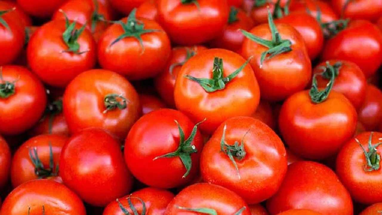 Tomato Health Risk: ಟೊಮೆಟೊ ಅತಿಯಾದ ಬಳಿಕೆಯಿಂದ ಆರೋಗ್ಯದ ಮೇಲಾಗುವ ದುಷ್ಪರಿಣಾಮಗಳಿವು Tomato Health Risk: ಟೊಮೆಟೊ ಅತಿಯಾದ ಬಳಿಕೆಯಿಂದ ಆರೋಗ್ಯದ ಮೇಲಾಗುವ ದುಷ್ಪರಿಣಾಮಗಳಿವು