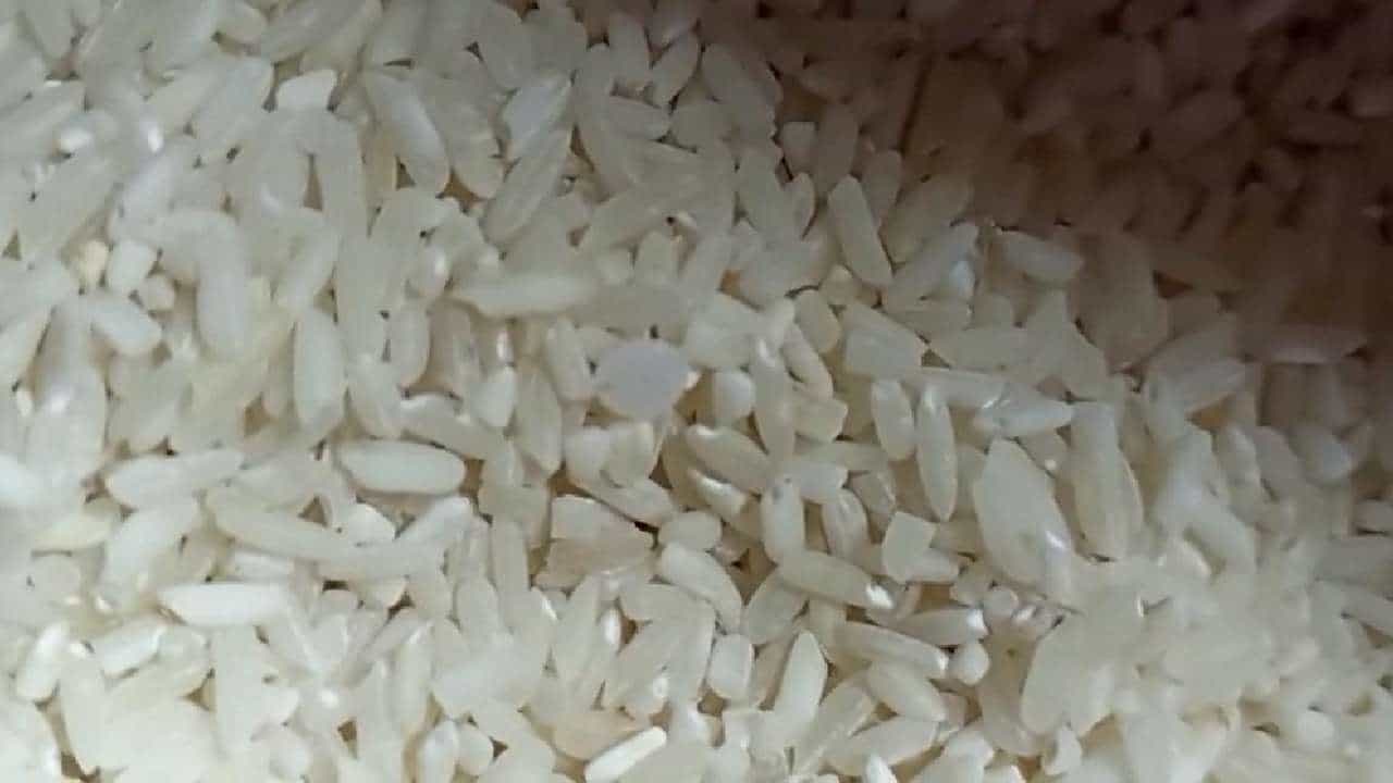 Madikeri City Plastic mixed rice found in government high school mid-day meal rice Anxiety among parents kodagu news in kannada
