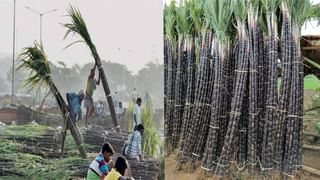 ಬಂಡೆಮಠದ ಸ್ವಾಮೀಜಿ ಆತ್ಮಹತ್ಯೆಗೆ ಪ್ರಚೋದನೆ ಪ್ರಕರಣ; ಆರೋಪಿ ಮೃತ್ಯುಂಜಯ ಸ್ವಾಮೀಜಿಗೆ ಜಾಮೀನು