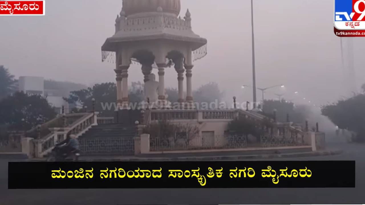 Coldwave in Mysuru: ಮೈಸೂರಿನಲ್ಲಿ ಭಾರೀ ಚಳಿ ಇಬ್ಬನಿ, ಮೈಕೊರೆಯುವ ಚಳಿಗೆ ಕಂಗಾಲಾದ ಮೈಸೂರಿಗರು