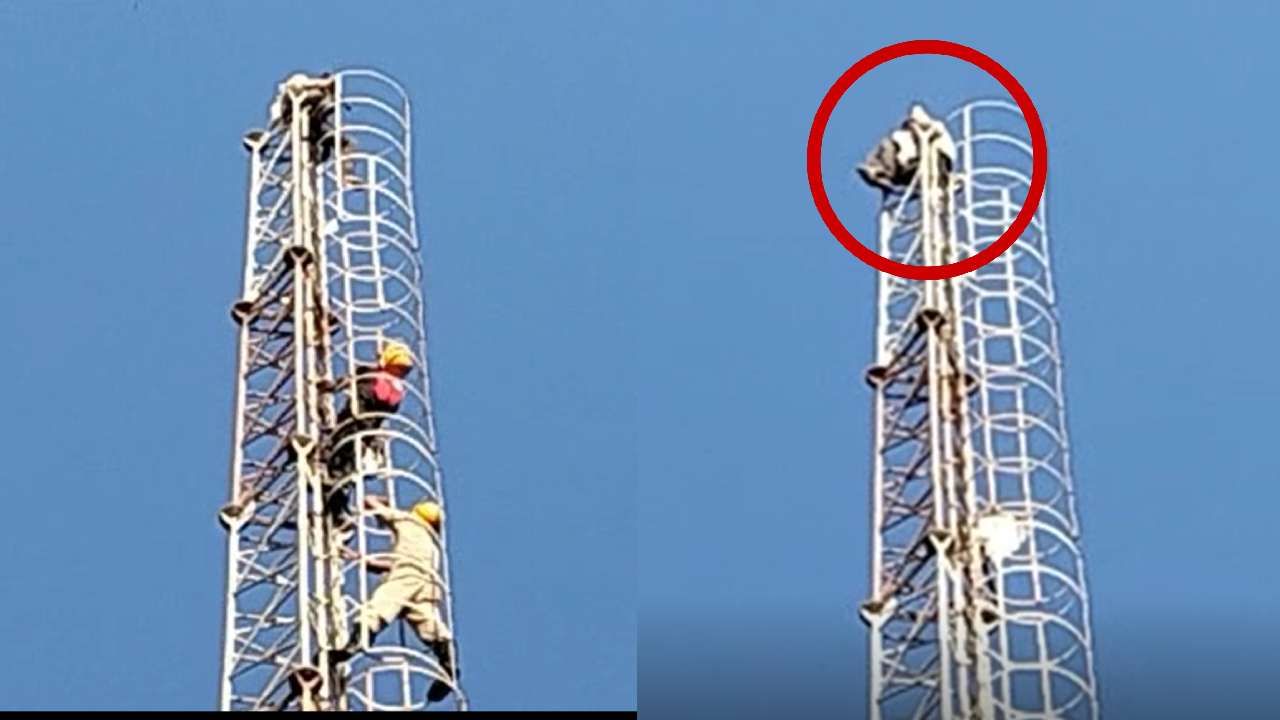 ಧಾರವಾಡ: ಸಿಗರೇಟ್ಗಾಗಿ ಮೊಬೈಲ್ ಟವರ್ ಏರಿ ಕುಳಿತ ಮಾನಸಿಕ ಅಸ್ವಸ್ಥ ಧಾರವಾಡ: ಸಿಗರೇಟ್ಗಾಗಿ ಮೊಬೈಲ್ ಟವರ್ ಏರಿ ಕುಳಿತ ಮಾನಸಿಕ ಅಸ್ವಸ್ಥ