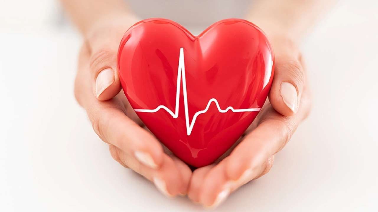 Heart Health Five lifestyle changes to be made to maintain cholesterol levels health tips in kannada
