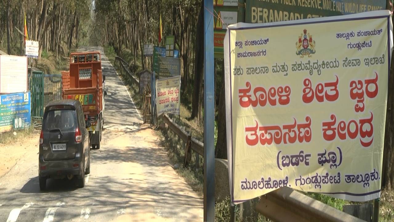 ಚಾಮರಾಜನಗರ: ಜಿಲ್ಲೆಯಲ್ಲಿ ಹಕ್ಕಿ ಜ್ವರದ ಭೀತಿ ಹಿನ್ನಲೆ ಕೇರಳ ಕರ್ನಾಟಕ ಗಡಿಯಲ್ಲಿ ತಪಾಸಣೆ ಚಾಮರಾಜನಗರ: ಜಿಲ್ಲೆಯಲ್ಲಿ ಹಕ್ಕಿ ಜ್ವರದ ಭೀತಿ ಹಿನ್ನಲೆ ಕೇರಳ ಕರ್ನಾಟಕ ಗಡಿಯಲ್ಲಿ ತಪಾಸಣೆ