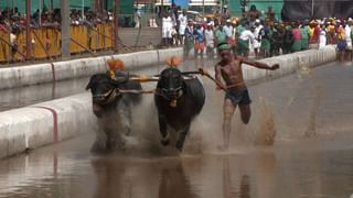 ಮಲಯಾಳಿಗಳ ಕಾಟ! ಮಂಗಳೂರು ಏರ್‌ಪೋರ್ಟ್‌ಗೆ ಬರ್ತಿದೆ ಕೋಟ್ಯಂತರ ಮೌಲ್ಯದ ಚಿನ್ನ, ಸಾಥ್​ ನೀಡ್ತಿದಾರೆ ಕೇರಳ ಯುವಕರು! ಏನಿದರ ಒಳಸುಳಿ?