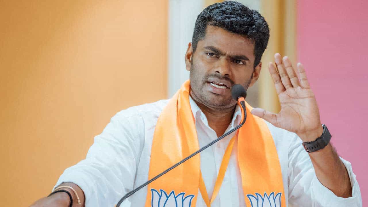 ಕೋಮು ಗಲಭೆಗಳಿಂದ ನಲುಗಿದ್ದ ಬಂಟ್ವಾಳದ ಚಿತ್ರಣ ನಾಲ್ಕೂವರೆ ವರ್ಷಗಳಿಂದ ಬದಲಾಗಿದೆ: ಅಣ್ಣಾ ಮಲೈ ಕೋಮು ಗಲಭೆಗಳಿಂದ ನಲುಗಿದ್ದ ಬಂಟ್ವಾಳದ ಚಿತ್ರಣ ನಾಲ್ಕೂವರೆ ವರ್ಷಗಳಿಂದ ಬದಲಾಗಿದೆ: ಅಣ್ಣಾ ಮಲೈ