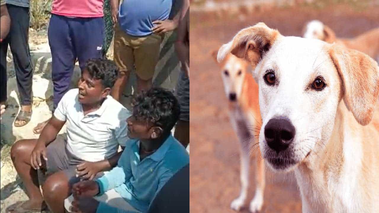 ಉತ್ತರ ಕನ್ನಡ: ಕಾಡುಹಂದಿ ಮಾಂಸವೆಂದು ನಂಬಿಸಿ ಜನರಿಗೆ ಬೌ ಬೌ ಮಾಂಸ ಮಾರಾಟ ಉತ್ತರ ಕನ್ನಡ: ಕಾಡುಹಂದಿ ಮಾಂಸವೆಂದು ನಂಬಿಸಿ ಜನರಿಗೆ ಬೌ ಬೌ ಮಾಂಸ ಮಾರಾಟ