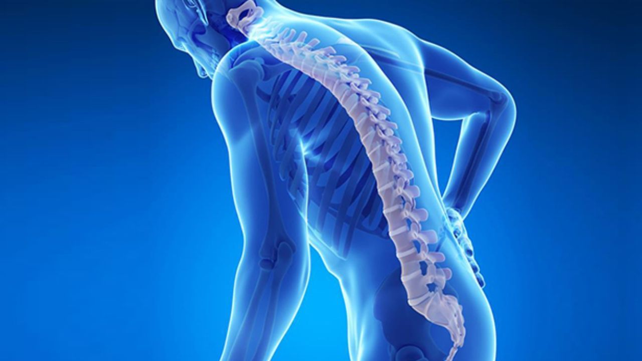 Osteoporosis Symptoms: ಮುಟ್ಟಿನ ಸಮಯದಲ್ಲಿ ನಿಮಗೆ ಗೊತ್ತಿಲ್ಲದೆ ಈ ಲಕ್ಷಣ ಕಂಡುಬರಬಹುದು, ಎಚ್ಚರ ವೈದ್ಯರ ಈ ಸಲಹೆ ಪಾಲಿಸಿ