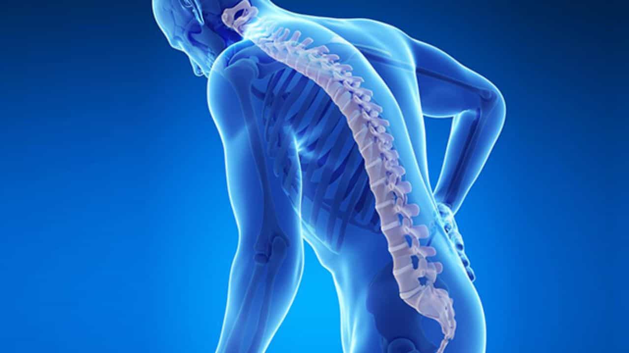 Osteoporosis Symptoms: ಮುಟ್ಟಿನ ಸಮಯದಲ್ಲಿ ನಿಮಗೆ ಗೊತ್ತಿಲ್ಲದೆ ಈ ಲಕ್ಷಣ ಕಂಡುಬರಬಹುದು, ಎಚ್ಚರ ವೈದ್ಯರ ಈ ಸಲಹೆ ಪಾಲಿಸಿ Osteoporosis Symptoms: ಮುಟ್ಟಿನ ಸಮಯದಲ್ಲಿ ನಿಮಗೆ ಗೊತ್ತಿಲ್ಲದೆ ಈ ಲಕ್ಷಣ ಕಂಡುಬರಬಹುದು, ಎಚ್ಚರ ವೈದ್ಯರ ಈ ಸಲಹೆ ಪಾಲಿಸಿ