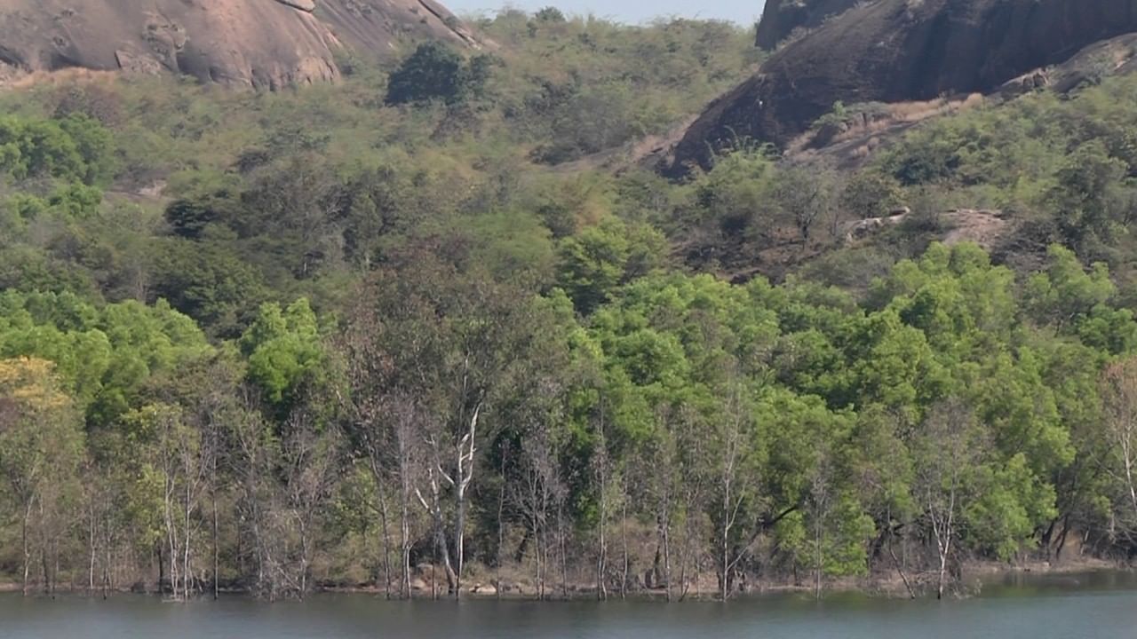 ಜಲಾಶಯಕ್ಕೆ ಹೋಗಲು ಒಂದು ಸರಿಯಾದ ರಸ್ತೆ ವ್ಯವಸ್ಥೆ ಕೂಡ ಇಲ್ಲ. ಸುಂದರ ಜಲಾಶಯ ಅಂತಾ ಯಾರಾದರೂ ಪ್ರೇಮಿಗಳು ಹೋಗಿ ಏನಾದರೂ ಆದರೂ ಕೇಳುವವರು ಇಲ್ಲ. 