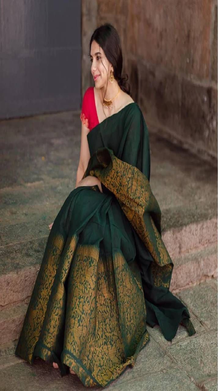Pure Banarasi Silk Sarees