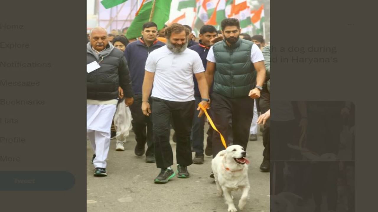 Bharat Jodo Yatra: ಭಾರತ್ ಜೋಡೋ ಯಾತ್ರೆಗೆ ಹೊಸ ಅತಿಥಿ; ರಾಹುಲ್ ಗಾಂಧಿ ಜತೆ ಯಾರಿದ್ದಾರೆ ನೋಡಿ Bharat Jodo Yatra: ಭಾರತ್ ಜೋಡೋ ಯಾತ್ರೆಗೆ ಹೊಸ ಅತಿಥಿ; ರಾಹುಲ್ ಗಾಂಧಿ ಜತೆ ಯಾರಿದ್ದಾರೆ ನೋಡಿ