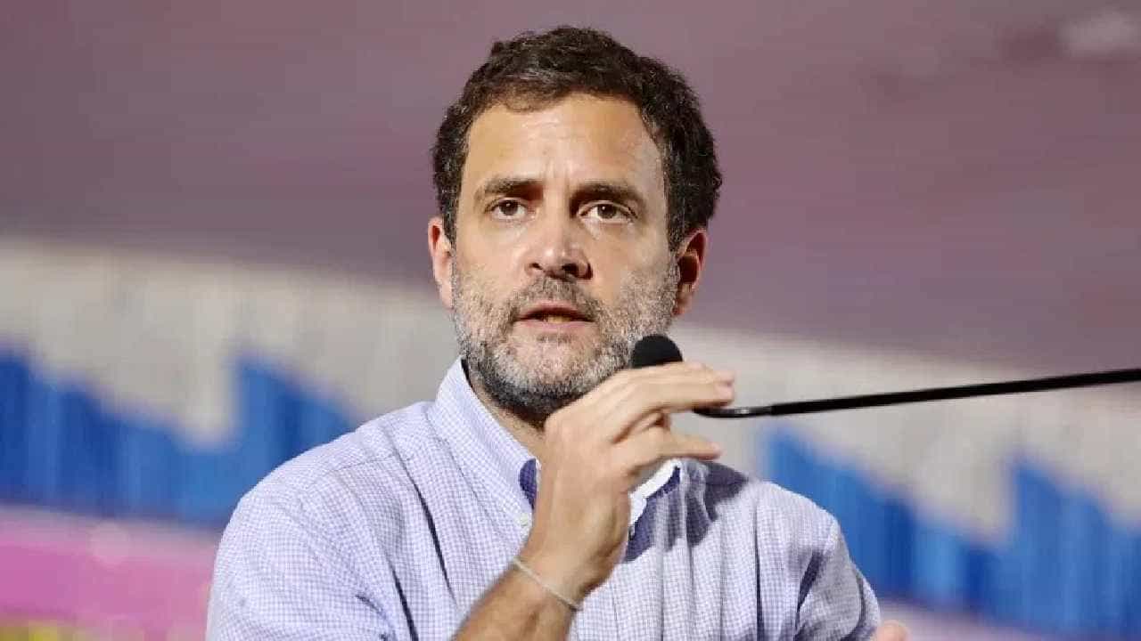 ಪ್ರತಿಪಕ್ಷಗಳಲ್ಲಿ ಭಿನ್ನಾಭಿಪ್ರಾಯಗಳಿರಬಹುದು ಆದರೆ ಬಿಜೆಪಿ-ಆರ್ಎಸ್ಎಸ್ ಸಿದ್ಧಾಂತದ ವಿರುದ್ಧ ಒಟ್ಟಿಗೆ ಹೋರಾಡುತ್ತೇವೆ: ರಾಹುಲ್ ಗಾಂಧಿ ಪ್ರತಿಪಕ್ಷಗಳಲ್ಲಿ ಭಿನ್ನಾಭಿಪ್ರಾಯಗಳಿರಬಹುದು ಆದರೆ ಬಿಜೆಪಿ-ಆರ್ಎಸ್ಎಸ್ ಸಿದ್ಧಾಂತದ ವಿರುದ್ಧ ಒಟ್ಟಿಗೆ ಹೋರಾಡುತ್ತೇವೆ: ರಾಹುಲ್ ಗಾಂಧಿ