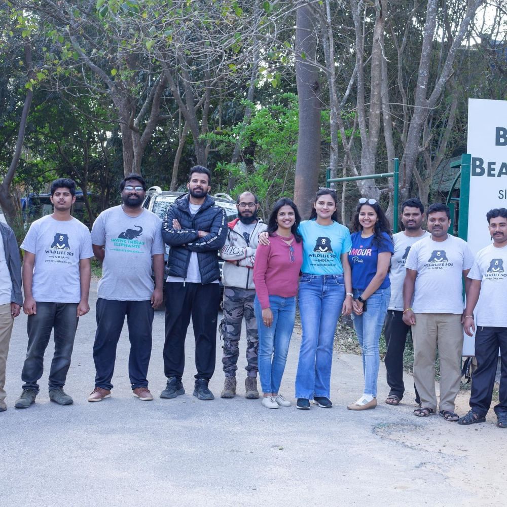 ಈ ಕರಡಿಗಳಿಗೆ ರಂಜನಿ ರಾಘವನ್ ಅವರು ಪೀನಟ್ ಬಟರ್ ಹಾಗೂ ಖರ್ಜೂರ ಕೊಟ್ಟಿದ್ದಾರೆ. ಕರಡಿ ಕುಣಿಸುವವರ ಬಳಿ ಇದ್ದಾಗ ಸರಿಯಾಗಿ ಆಹಾರ ನೀಡದ ಕಾರಣ ಅದರ ಬೆಳವಣಿಗೆ ಕುಂಠಿತವಾಗಿದೆ ಎಂದು ರಂಜನಿ ಹೇಳಿಕೊಂಡಿದ್ದಾರೆ.