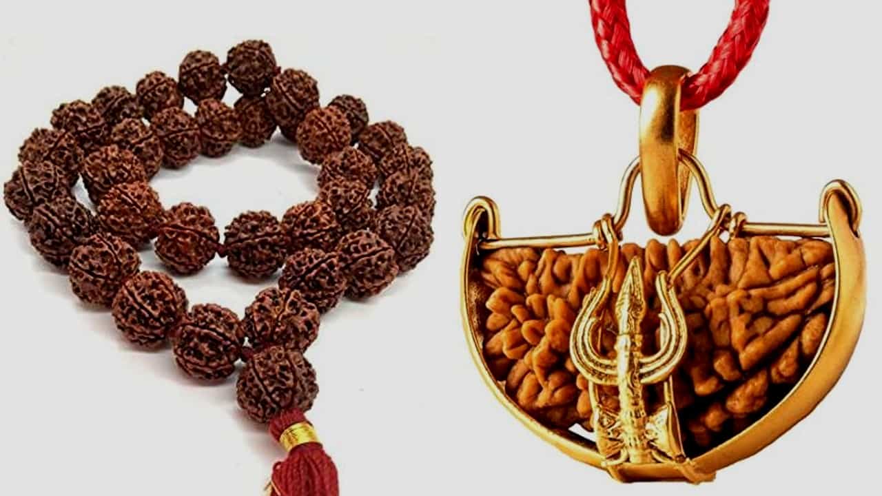 Rudraksha: ರುದ್ರಾಕ್ಷಿ ಧರಿಸಿದವರಿಗೆ ರುದ್ರ ಲೋಕ ಪ್ರಾಪ್ತಿಯಾಗುತ್ತದೆ! ಏನಿದು ರುದ್ರಾಕ್ಷಿ ಕಥೆ ಮತ್ತು ಮಹಿಮೆ? Rudraksha: ರುದ್ರಾಕ್ಷಿ ಧರಿಸಿದವರಿಗೆ ರುದ್ರ ಲೋಕ ಪ್ರಾಪ್ತಿಯಾಗುತ್ತದೆ! ಏನಿದು ರುದ್ರಾಕ್ಷಿ ಕಥೆ ಮತ್ತು ಮಹಿಮೆ?