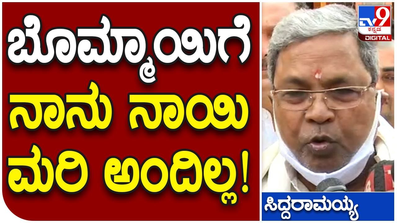 Siddaramaiah: ರಾಜ್ಯ ರಾಜಕಾರಣದಲ್ಲಿ ಡಾಗ್​ಫೈಟ್, ನಾನು ನಾಯಿಮರಿ ಎಂದು ಹೇಳಿಲ್ಲ: ಸಿದ್ಧರಾಮಯ್ಯ ಸ್ಪಷ್ಟನೆ