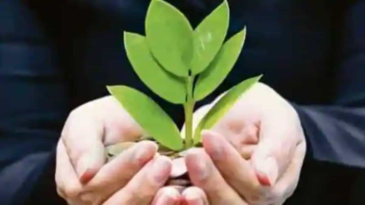Sovereign Green Bonds: ಎರಡು ಕಂತು ಸಾವರಿನ್ ಗ್ರೀನ್ ಬಾಂಡ್ ಬಿಡುಗಡೆ ಮಾಡಲಿದೆ ಆರ್ಬಿಐ Sovereign Green Bonds: ಎರಡು ಕಂತು ಸಾವರಿನ್ ಗ್ರೀನ್ ಬಾಂಡ್ ಬಿಡುಗಡೆ ಮಾಡಲಿದೆ ಆರ್ಬಿಐ