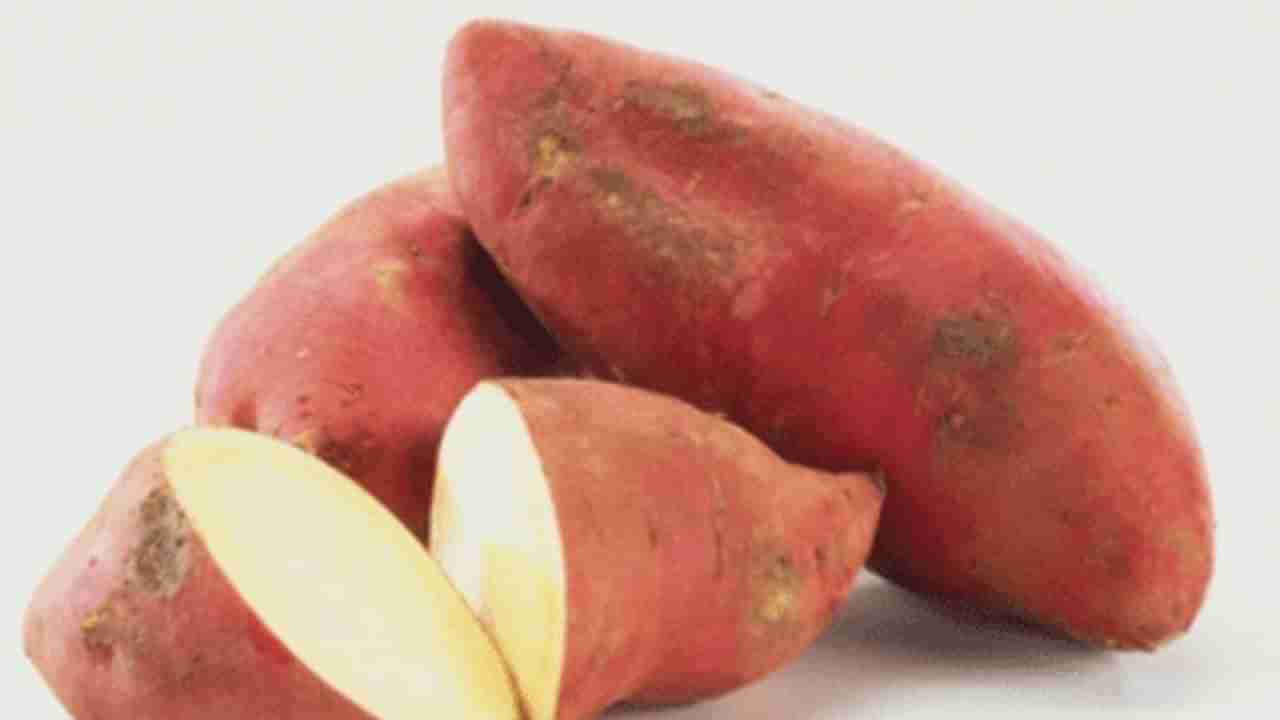 Sweet Potatoes: ಚಳಿಗಾಲದಲ್ಲಿ ಸಿಹಿಗೆಣಸು ತಿನ್ನುವ ಆಸೆಯೇ, ಆದರೆ ಅವುಗಳನ್ನು ಈ ವಿಧಾನದಲ್ಲಿ ಬೇಯಿಸಿ