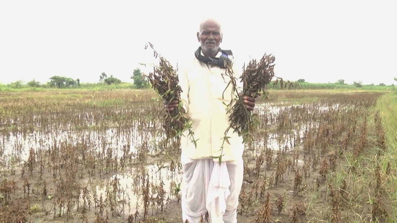 ಬೀದರ್ ಜಿಲ್ಲೆಯಲ್ಲಿ ನಿಲ್ಲುತ್ತಿಲ್ಲ ರೈತರ ಸರಣಿ ಆತ್ಮಹತ್ಯೆಗಳು: ಅತಿವೃಷ್ಟಿ, ಅನಾವೃಷ್ಟಿ, ಸಾಲದ ಸುಳಿ, ಸರ್ಕಾರದ ನಿರ್ಲಕ್ಷ್ಯ ಕಾರಣಗಳು!