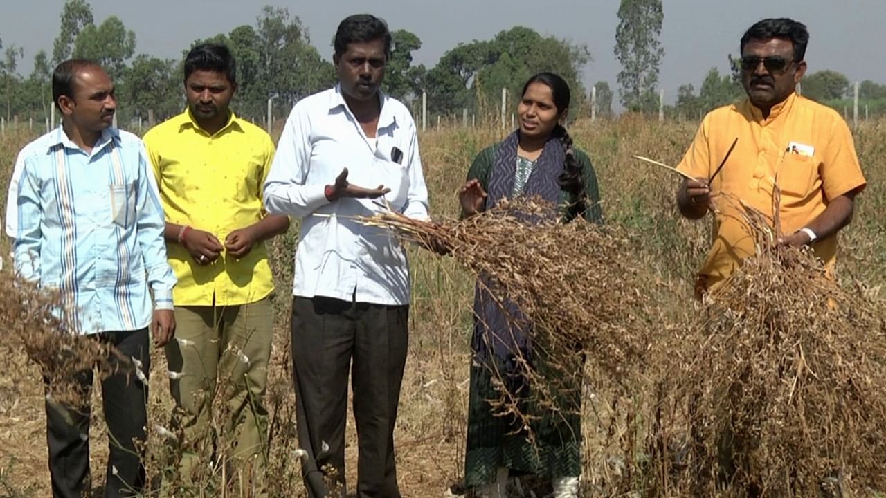 Tens of farmers committed suicides in bidar district in last 3 years