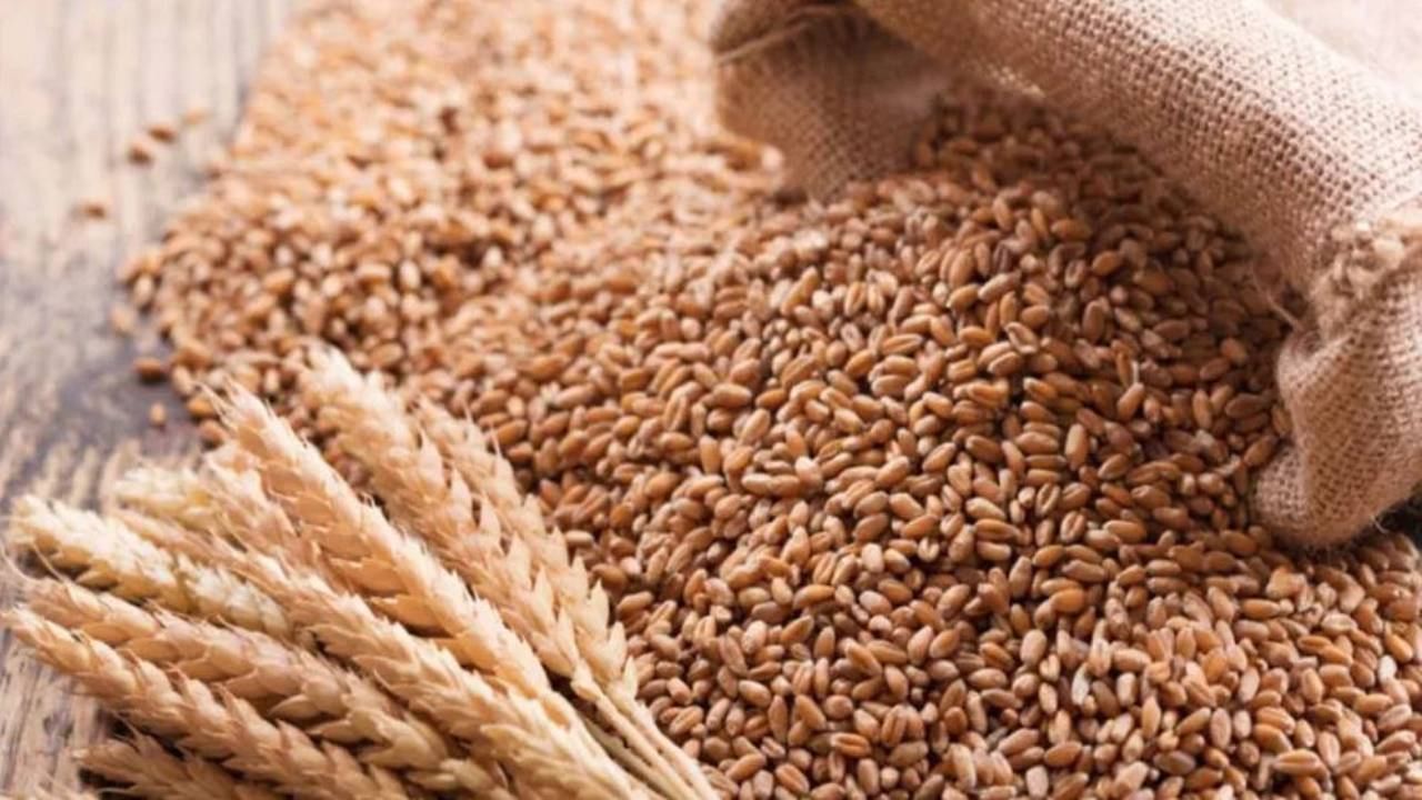 Wheat Price: ಗೋಧಿ ದರ ಭಾರೀ ಏರಿಕೆ, ನಿಯಂತ್ರಿಸಲು ಸರ್ಕಾರ ಸಾಹಸ