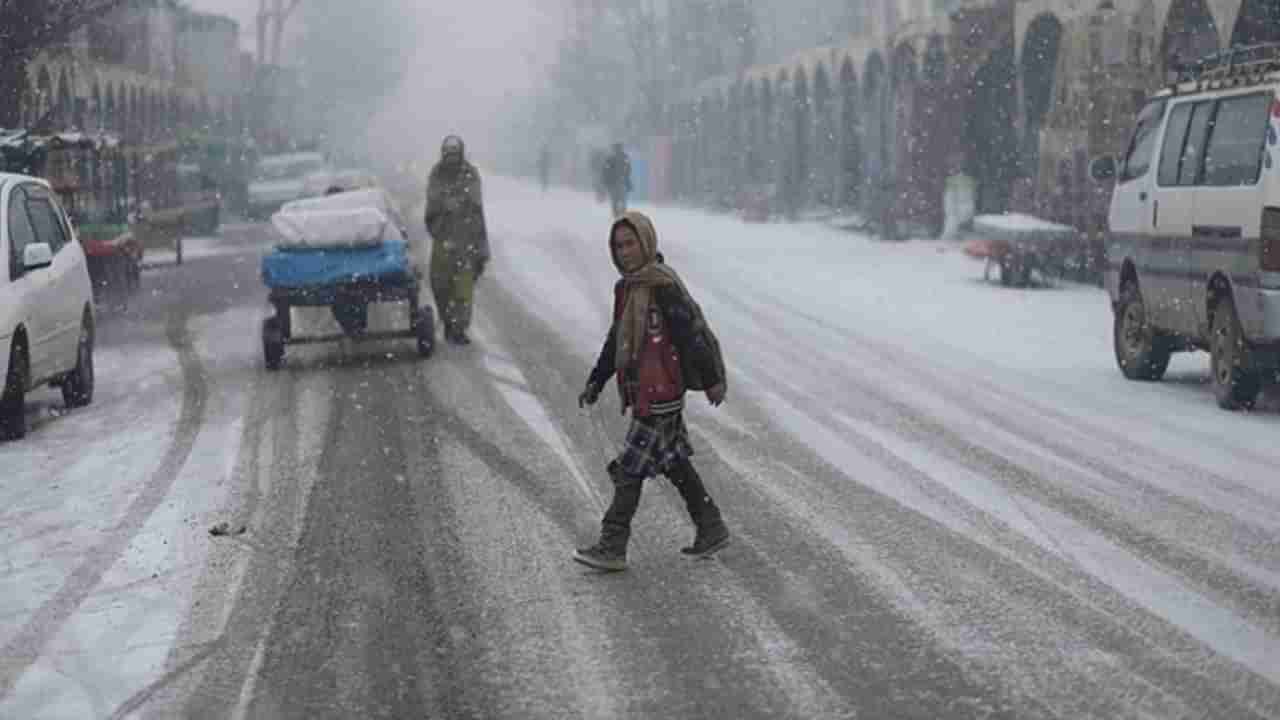 Afghanistan: ಅಫ್ಘಾನಿಸ್ತಾನದಲ್ಲಿ ವಿಪರೀತ ಚಳಿಗೆ 2 ಲಕ್ಷಕ್ಕೂ ಹೆಚ್ಚು ಜಾನುವಾರುಗಳ ಸಾವು