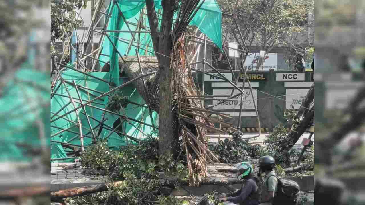 Bengaluru Metro Pillar Collapse: ಅವಘಡಕ್ಕೆ ಇಂಜಿನಿಯರ್ ಹಾಗೂ ಗುತ್ತಿಗೆದಾರರೇ ಕಾರಣ- ಐಐಎಸ್ಸಿ ತಜ್ಞರ ವರದಿಯಲ್ಲಿ ಉಲ್ಲೇಖ Bengaluru Metro Pillar Collapse: ಅವಘಡಕ್ಕೆ ಇಂಜಿನಿಯರ್ ಹಾಗೂ ಗುತ್ತಿಗೆದಾರರೇ ಕಾರಣ- ಐಐಎಸ್ಸಿ ತಜ್ಞರ ವರದಿಯಲ್ಲಿ ಉಲ್ಲೇಖ