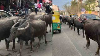 ಗೇಮ್ ಆ್ಯಪ್ ಮೂಲಕ ಪ್ರೀತಿ, ಮದುವೆ; ಬೆಂಗಳೂರಿನಲ್ಲಿ ಅಕ್ರಮವಾಗಿ ನೆಲೆಸಿದ್ದ ಪಾಕ್ ಮಹಿಳೆ ಬಂಧನ