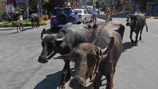 Bengaluru: ಮೆಟ್ರೋ ಪಿಲ್ಲರ್ ಉರುಳಿ ಬಿದ್ದು ತಾಯಿ-ಮಗು ಸಾವು ಪ್ರಕರಣ; ಎರಡೂವರೆ ಗಂಟೆಗಳ ಕಾಲ ಮೆಟ್ರೋ ಎಂಡಿ ವಿಚಾರಣೆ