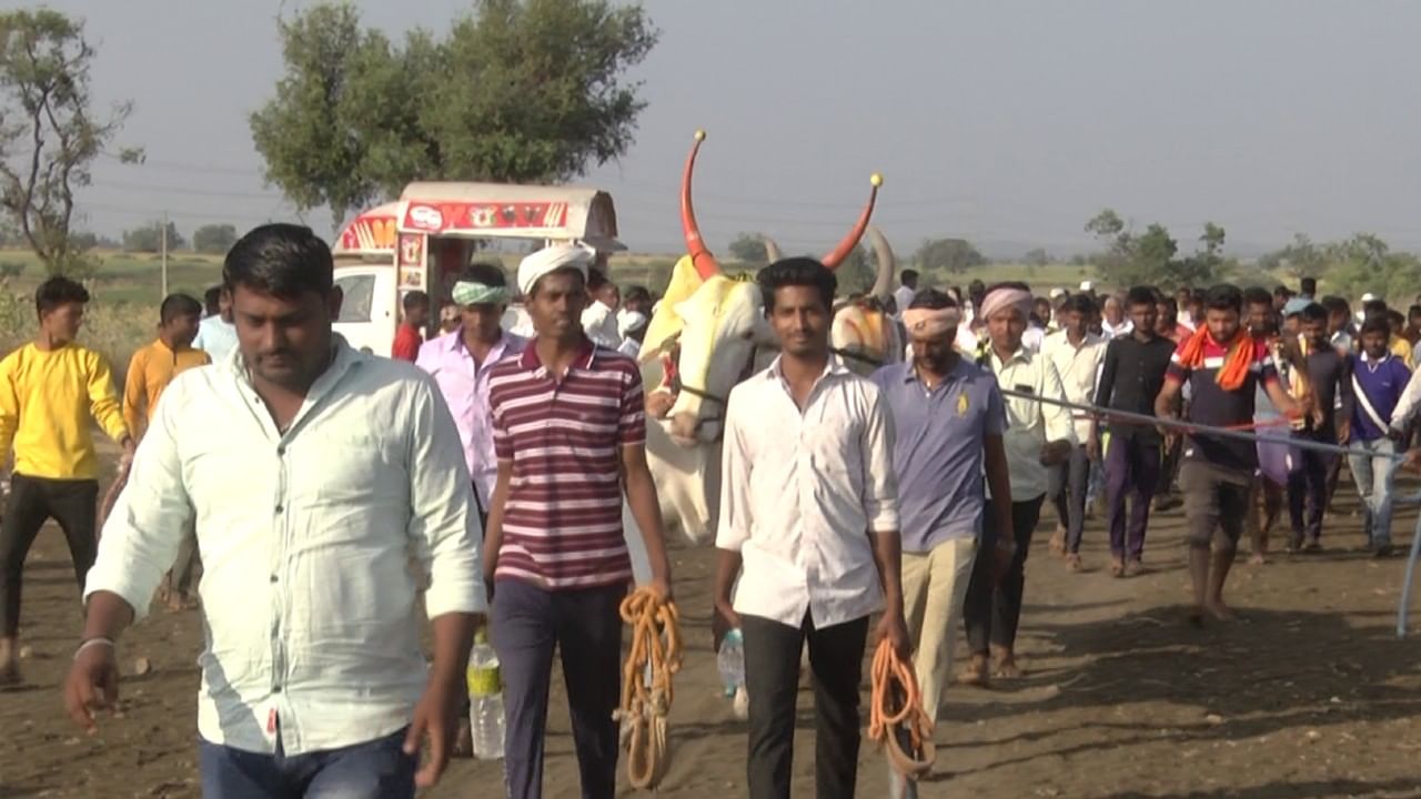 ಬೆನಕಟ್ಟಿ ಗ್ರಾಮದಲ್ಲಿ ವೇಮನ ಜಯಂತಿ ಹಾಗೂ  ಜಾತ್ರಾ ಪ್ರಯುಕ್ತ ಈ ತೆರೆದ ಬಂಡಿ ಸ್ಪರ್ಧೆಯನ್ನು ಆಯೋಜಿಸಲಾಗಿತ್ತು. ಸ್ಪರ್ಧೆಗೆ ಬಾಗಲಕೋಟೆ ಜಿಲ್ಲೆ ಮತ್ತು ಬೇರೆ ಜಿಲ್ಲೆಗಳಿಂದ ಎತ್ತುಗಳನ್ನು ಕರೆತರಲಾಗಿತ್ತು. 