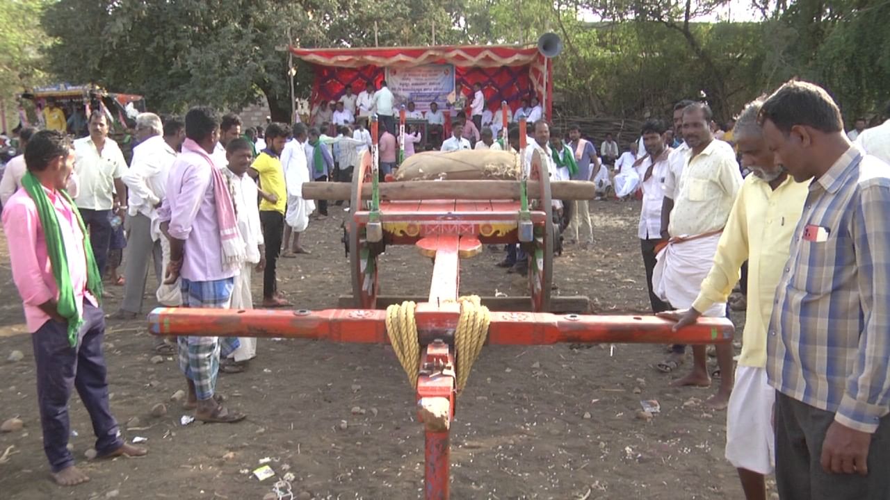 ಇನ್ನು ಸ್ಪರ್ಧೆಯಲ್ಲಿ ಭಾಗವಹಿಸಿದ ಎತ್ತುಗಳನ್ನು ನೋಡೋದೆ ಕಣ್ಣಿಗೆ ಹಬ್ಬವೆನ್ನುವಂತಿತ್ತು. ಯಾಕಂದ್ರೆ ಸ್ಪರ್ಧೆಯಲ್ಲಿ ಭಾಗವಹಿಸಿದ ಎತ್ತುಗಳು ಸಾಮಾನ್ಯ ಎತ್ತುಗಳಾಗಿರಲಿಲ್ಲ. ಪಕ್ಕಾ ಮದಿಸಿದ ಆನೆಯಂತೆ ಕೊಬ್ಬಿದ ಎತ್ತುಗಳಾಗಿದ್ವು. ಒಂದೊಂದು ಜೋಡಿ ಐದು, ಆರು, ಹತ್ತು, 15 ಲಕ್ಷ ರೂಪಾಯಿ ಕಿಮ್ಮತ್ತಿನ ಎತ್ತುಗಳಿದ್ವು.