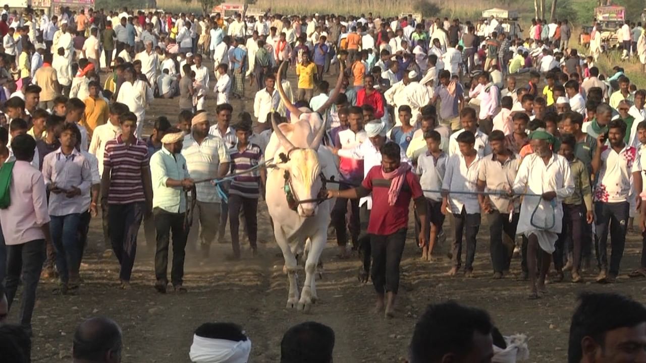 ಚಕ್ರಕ್ಕೆ ಕಂಬ ಸಿಲುಕಿಸಿದರೂ ಬಂಡಿ ಎಳೆದು ಪರಾಕ್ರಮ..