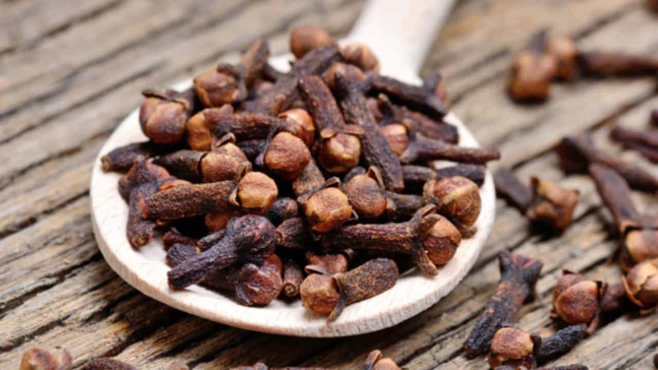 Clove Benefits: ದಿನನಿತ್ಯ ಬೆಳಿಗ್ಗೆ ಖಾಲಿ ಹೊಟ್ಟೆಯಲ್ಲಿ ಲವಂಗ ಸೇವಿಸುವುದರಿಂದ ಎಷ್ಟೇಲ್ಲಾ ಪ್ರಯೋಜನಗಳಿವೆ ತಿಳಿಯಿರಿ Clove Benefits: ದಿನನಿತ್ಯ ಬೆಳಿಗ್ಗೆ ಖಾಲಿ ಹೊಟ್ಟೆಯಲ್ಲಿ ಲವಂಗ ಸೇವಿಸುವುದರಿಂದ ಎಷ್ಟೇಲ್ಲಾ ಪ್ರಯೋಜನಗಳಿವೆ ತಿಳಿಯಿರಿ