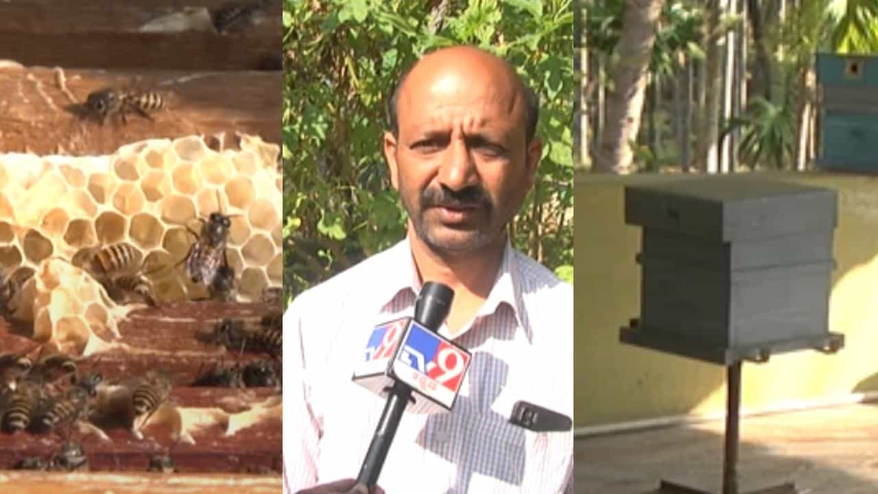 ಕೃಷಿ ಜೊತೆಗೆ ಉಪಕಸಬುಗಳಿಂದ ಭರ್ಜರಿ ಲಾಭ: ಜೇನು ಕೃಷಿ ಮಾಡುವ ಮೂಲಕ ಮಾದರಿಯಾದ ಚಿತ್ರದುರ್ಗ ರೈತ ಕೃಷಿ ಜೊತೆಗೆ ಉಪಕಸಬುಗಳಿಂದ ಭರ್ಜರಿ ಲಾಭ: ಜೇನು ಕೃಷಿ ಮಾಡುವ ಮೂಲಕ ಮಾದರಿಯಾದ ಚಿತ್ರದುರ್ಗ ರೈತ