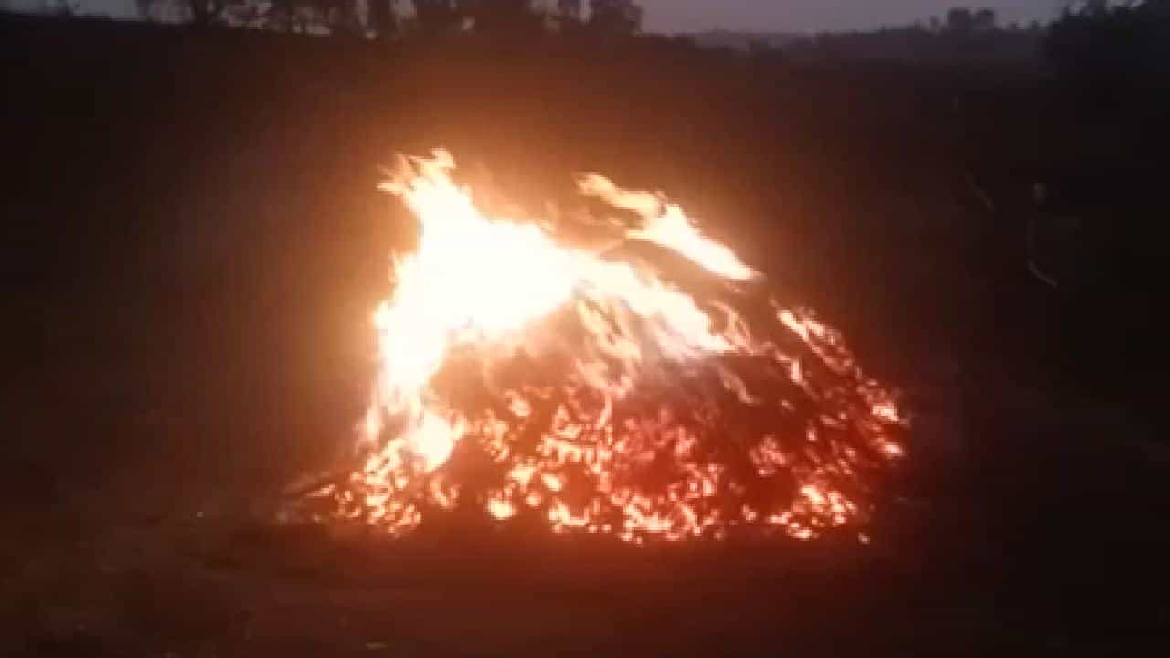 Hangal: ಮೆಕ್ಕೆಜೋಳ ರಾಶಿಗೆ ಬೆಂಕಿ ಇಟ್ಟ ದುಷ್ಕರ್ಮಿಗಳು: 3 ಲಕ್ಷಕ್ಕೂ ಅಧಿಕ ಮೌಲ್ಯದ ತೆನೆರಾಶಿ ಬೆಂಕಿಗಾಹುತಿ Hangal: ಮೆಕ್ಕೆಜೋಳ ರಾಶಿಗೆ ಬೆಂಕಿ ಇಟ್ಟ ದುಷ್ಕರ್ಮಿಗಳು: 3 ಲಕ್ಷಕ್ಕೂ ಅಧಿಕ ಮೌಲ್ಯದ ತೆನೆರಾಶಿ ಬೆಂಕಿಗಾಹುತಿ