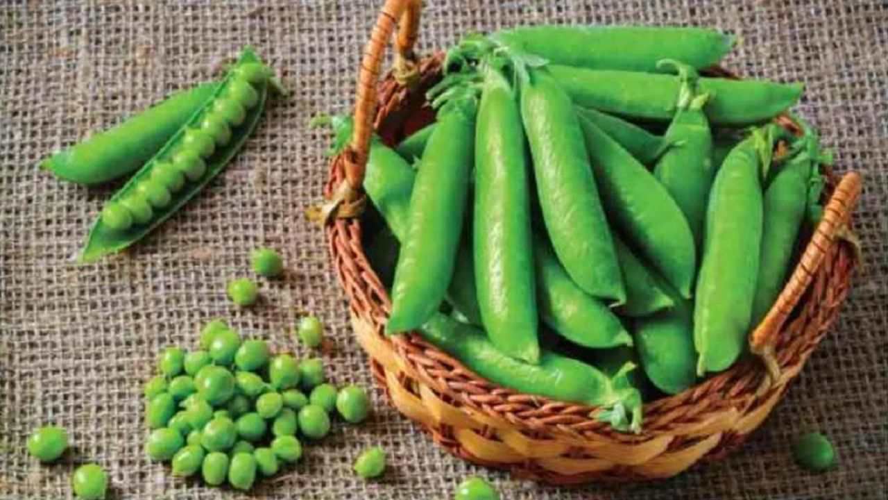 ಹಸಿರು ಬಟಾಣಿಗಳನ್ನು ರುಚಿಗಾಗಿ ಅಡುಗೆಗೆ ಬಳಸುತ್ತಾರೆ. ಆದರೆ, ಅದರಿಂದ ಆರೋಗ್ಯಕ್ಕೂ ಸಾಕಷ್ಟು ಪ್ರಯೋಜನಗಳಿವೆ. ಅದರಲ್ಲೂ ಚಳಿಗಾಲದಲ್ಲಿ ಬಟಾಣಿಯನ್ನು ತಿನ್ನುವುದರಿಂದ ದೇಹಕ್ಕೆ ವಿಟಮಿನ್ ಸಿಗುತ್ತದೆ. 