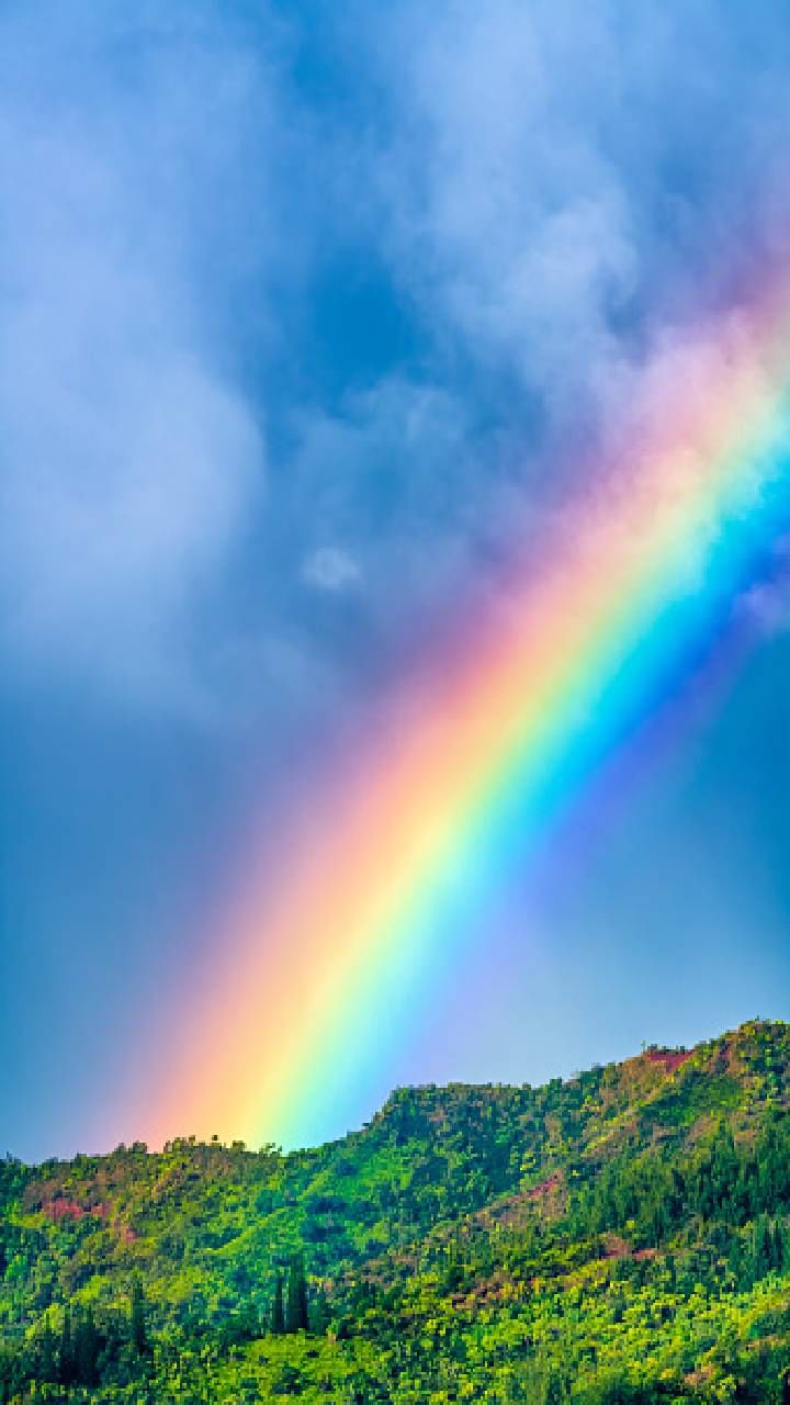 hawai rainbow