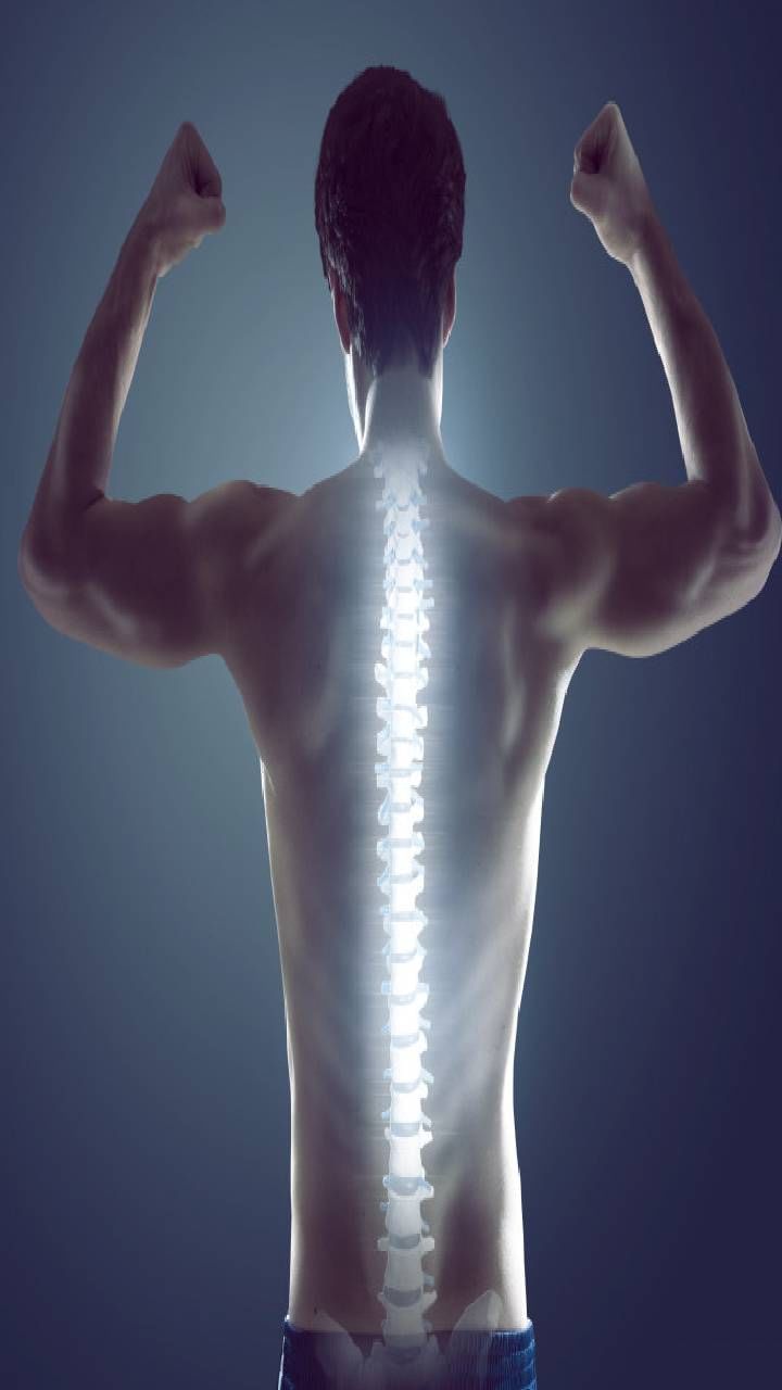 healthy bone