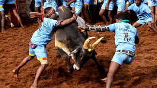 ಏರ್ ಇಂಡಿಯಾದಲ್ಲಿ ಮೂತ್ರ ವಿಸರ್ಜನೆ ಮಾಡಿದ್ದ ಶಂಕರ್ ಮಿಶ್ರಾ ಜಾಮೀನು ಅರ್ಜಿ ಆದೇಶ ಕಾಯ್ದಿರಿಸಿದ ದೆಹಲಿ ಕೋರ್ಟ್