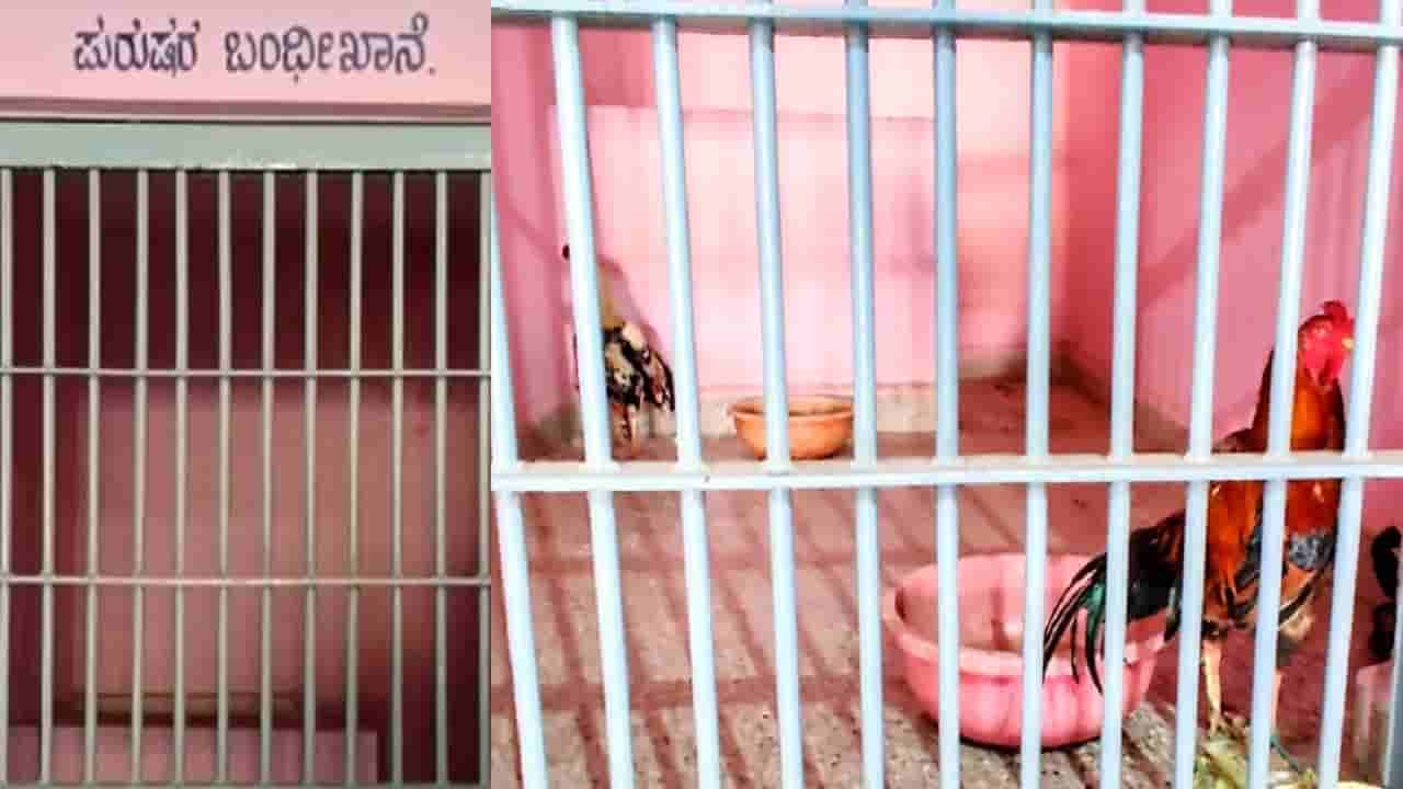 ಕೋಳಿ ಕಾಳಗ ಮೇಲೆ ದಾಳಿ: ಹುಂಜ ವಶಪಡಿಸಿಕೊಂಡು ಬಂಧಿಖಾನೆಯಲ್ಲಿ ಬಂಧಿಸಿಟ್ಟ ಕಾರಟಗಿ ಪೊಲೀಸ್ರು..!