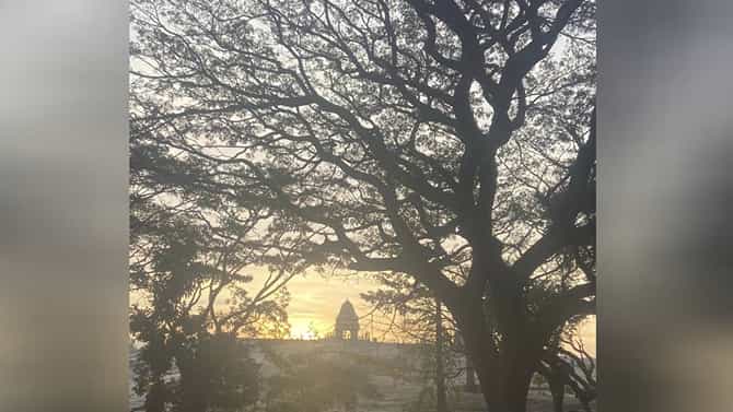 Lalbagh: ಬೆಂಗಳೂರಿನ ಲಾಲ್​ಬಾಗ್​ಗೆ ಭೇಟಿ ನೀಡಿದರೆ ಇವುಗಳನ್ನು ಮಿಸ್ ಮಾಡದೆ ನೋಡಿ, ಎಂಜಾಯ್ ಮಾಡಿ