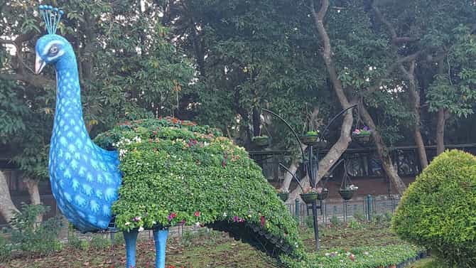 Lalbagh Flower Show: ಲಾಲ್​ಬಾಗ್ ಫಲಪುಷ್ಪ ಪ್ರದರ್ಶನಕ್ಕೆ ಭರ್ಜರಿ ತಯಾರಿ